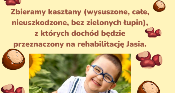plakat kasztany